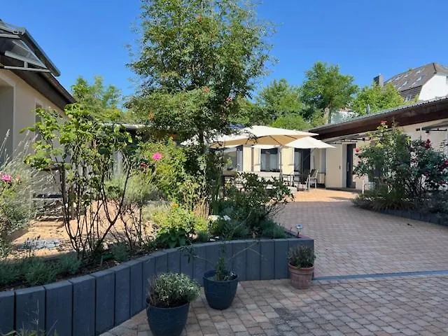 Altes Forstamt 招待所 埃伯斯瓦尔德菲诺